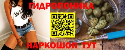 гидра Ставрополь