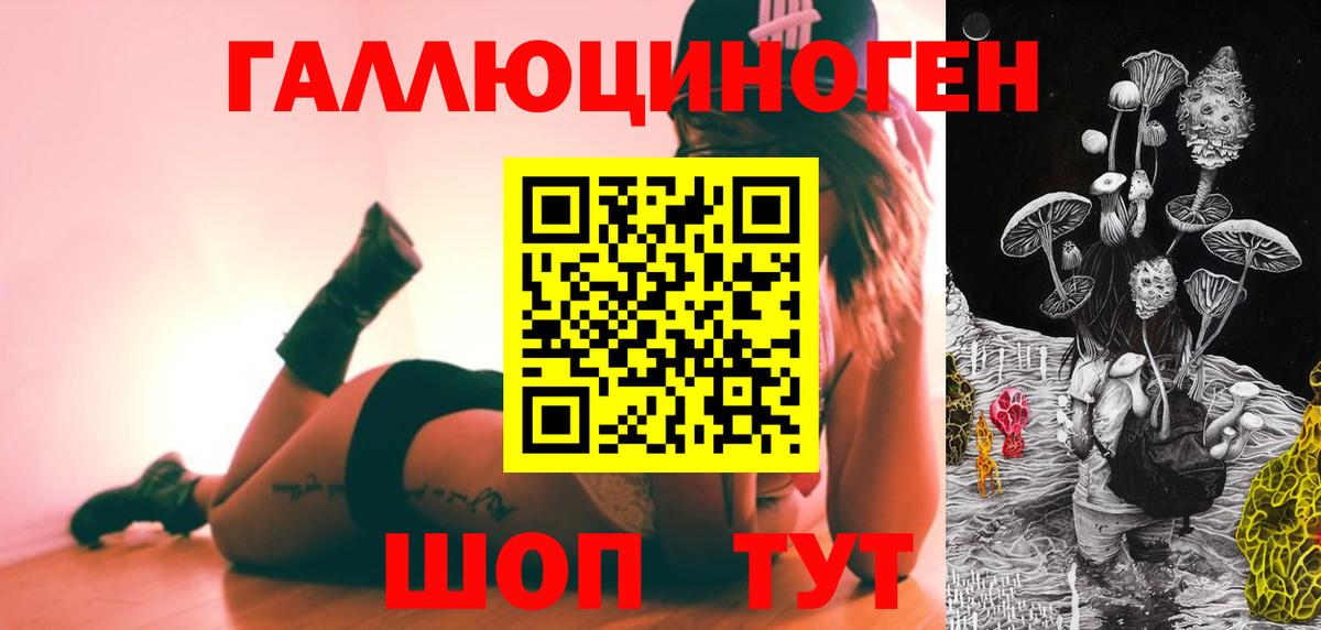 Галлюциногенные грибы GOLDEN TEACHER  Вход с VPN  сколько стоит  Новосибирск 