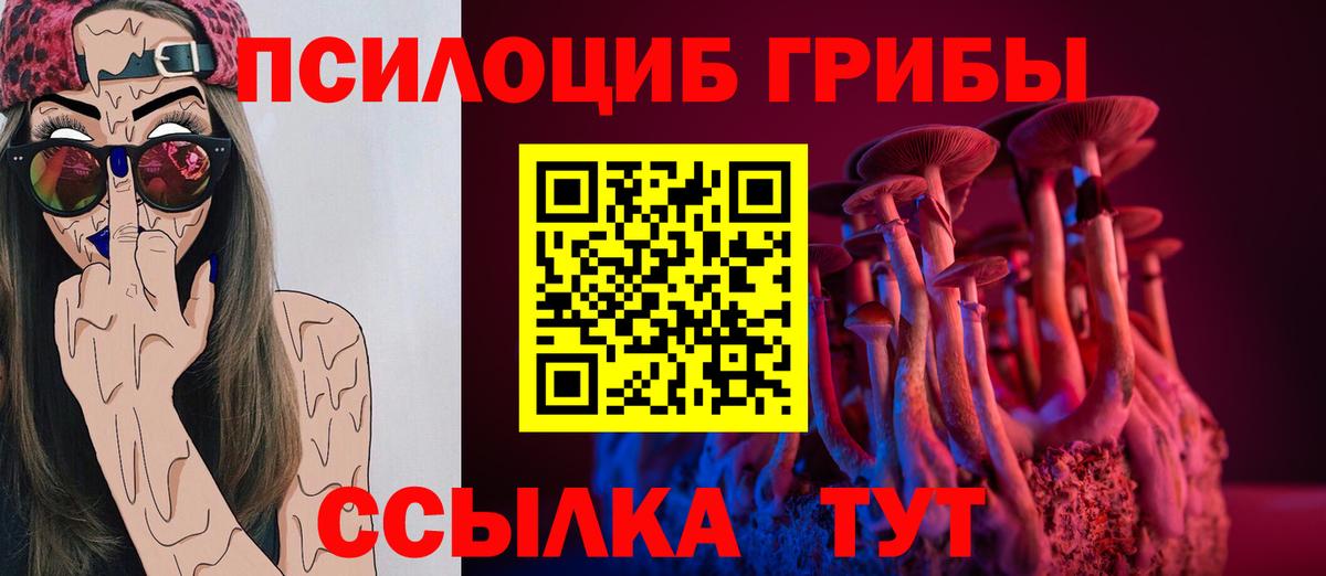 Галлюциногенные грибы MAGIC MUSHROOMS Новосибирск